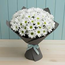 Букет цветов из:  Хризантемы #REPLACE_PRED# Новоалександровске