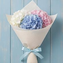Букет цветов из:  Гортензия в Новоалександровске