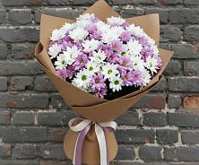 Букет цветов из:  Хризантемы в Новоалександровске