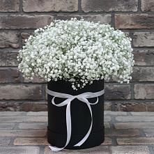 Цветочная композиция из Гипсофила в шляпной коробке в Новоалександровске