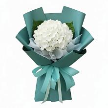 Букет цветов из:  Гортензия в Новоалександровске